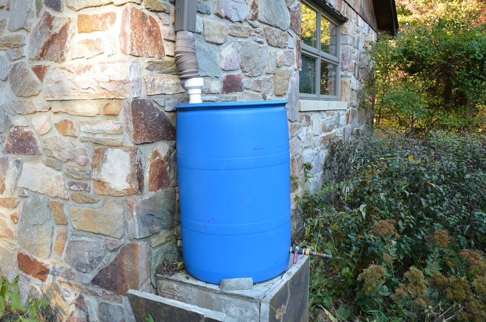 diy rain barrels